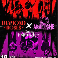 DIAMOND ROSES + ARACNE - Master